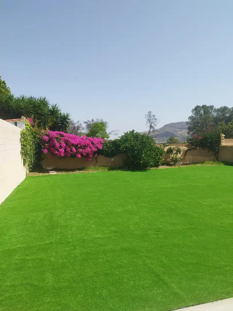 Villa avec jardin à vendre à Carretera Carretera Cerralba N-1, imagen 3