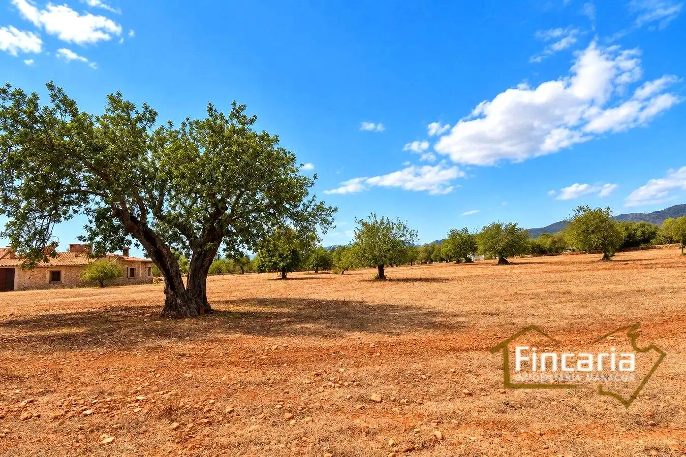 Country homes for sale in Marratxinet