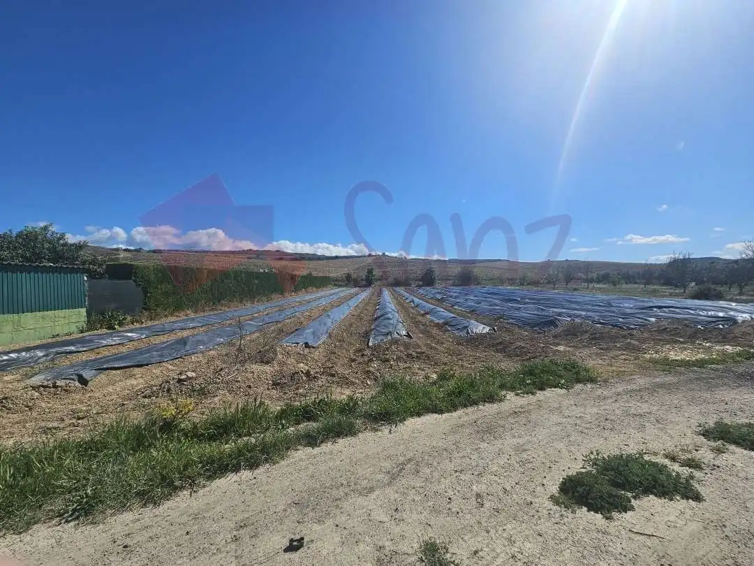 Finca rústica en venta en Lanciego / Lantziego