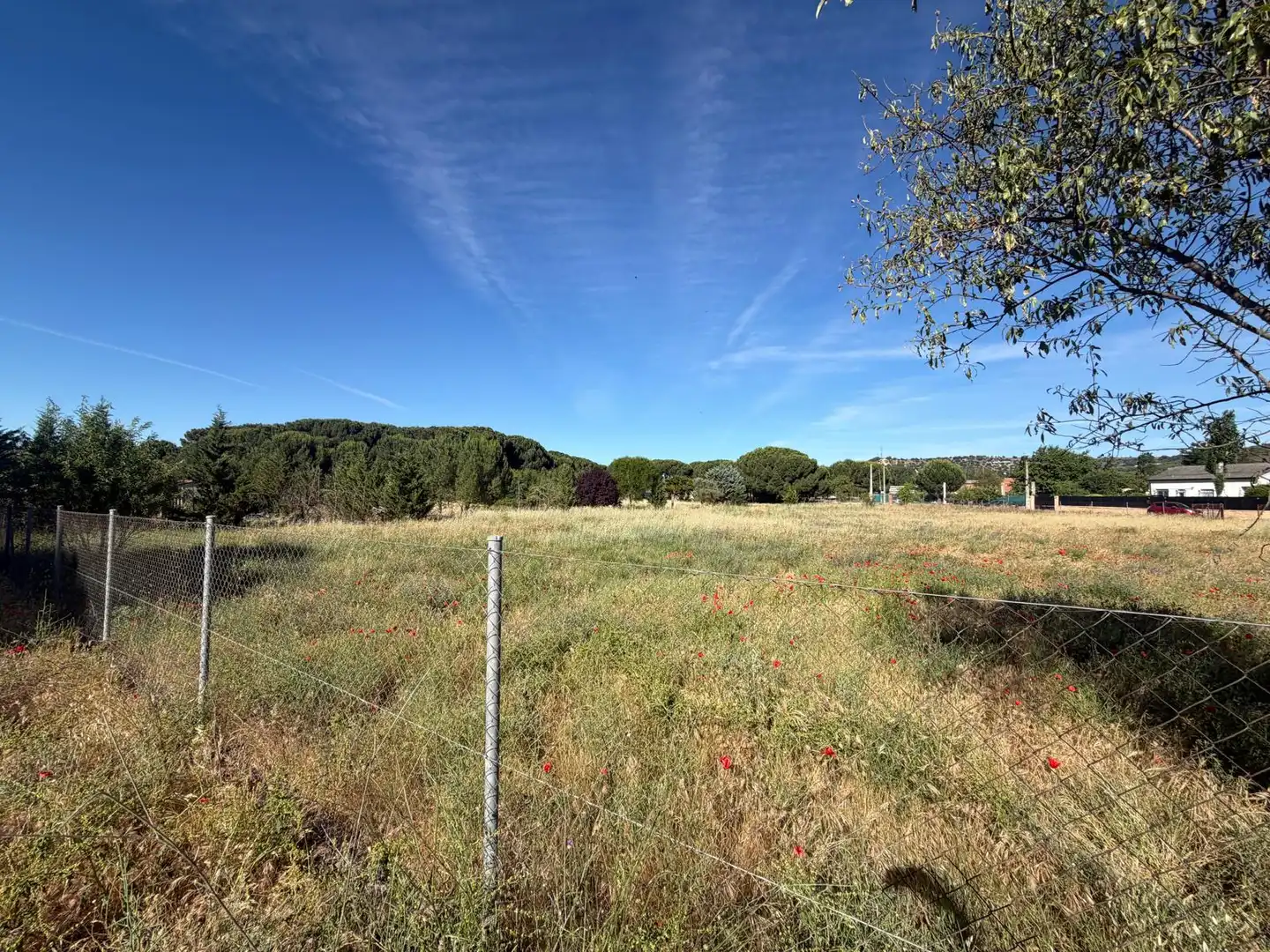 Terreno residenziale in vendita a Vial Camino 43, imagen 3