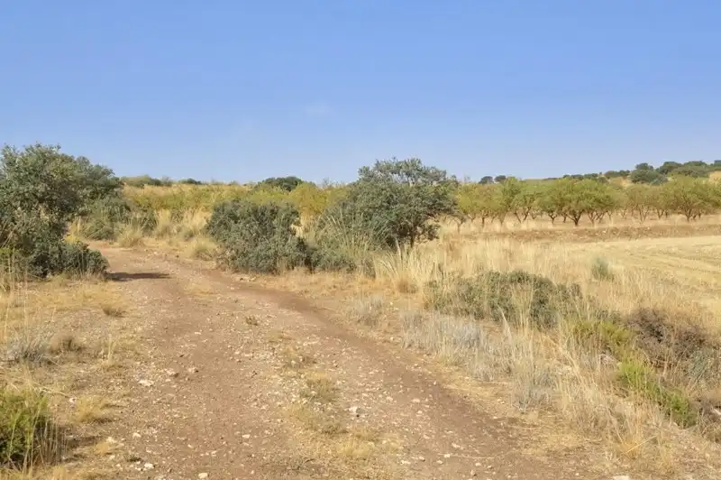 Terreni e lotti in vendita a Padul, imagen 32