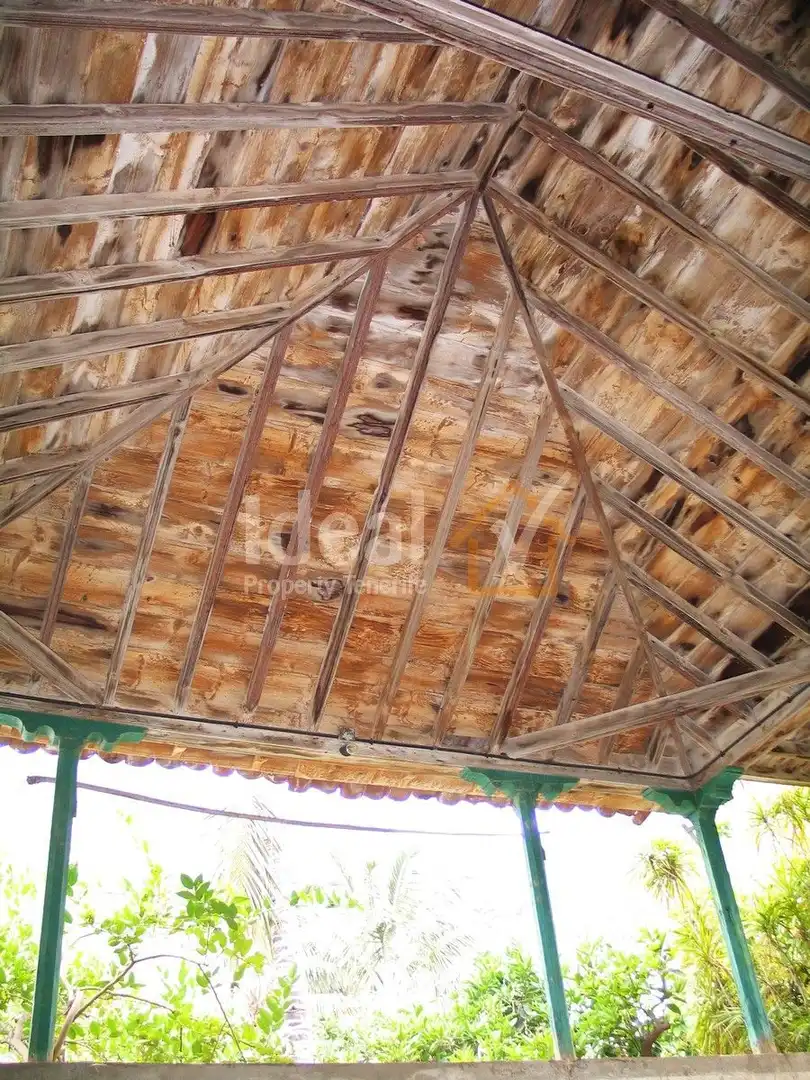 Vista exterior de Casa o chalet en venta en Garachico con Jardín privado