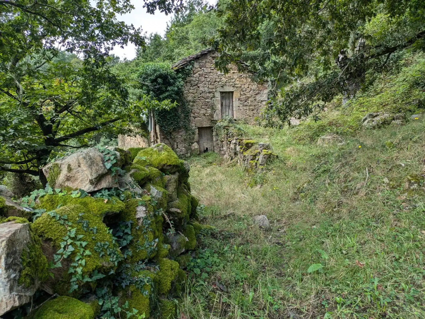 Außenansicht von Geschaftsraum zum Verkauf in Vega de Pas