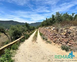 Land for sale in Alforja