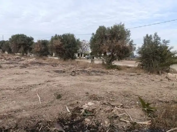 Casa bifamiliare in vendita a La Foia - Daimés - Asprella, imagen 3