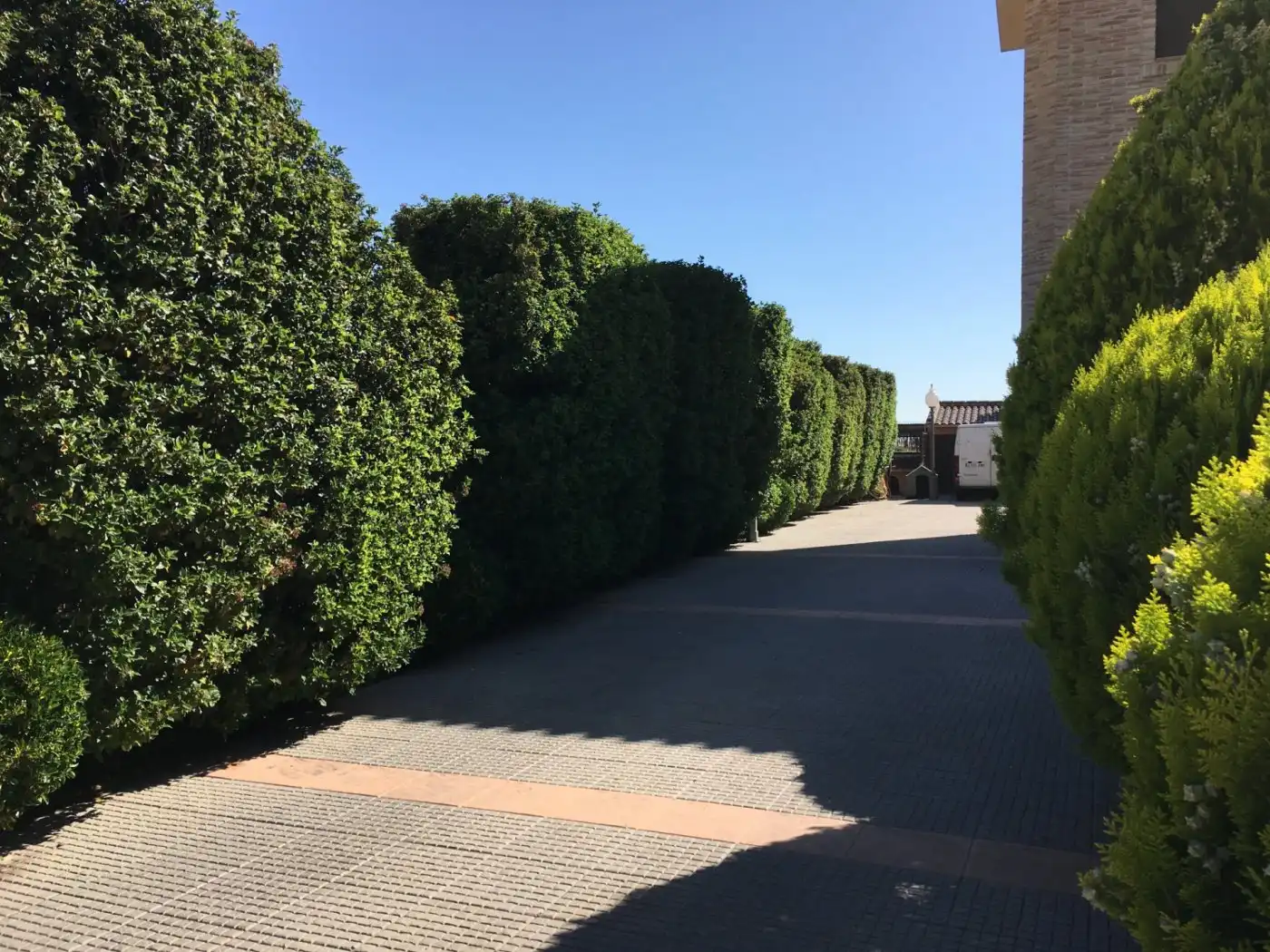 Exterior view of Houses for sale in Murcia  with Air Conditioner, Private garden and Terrace