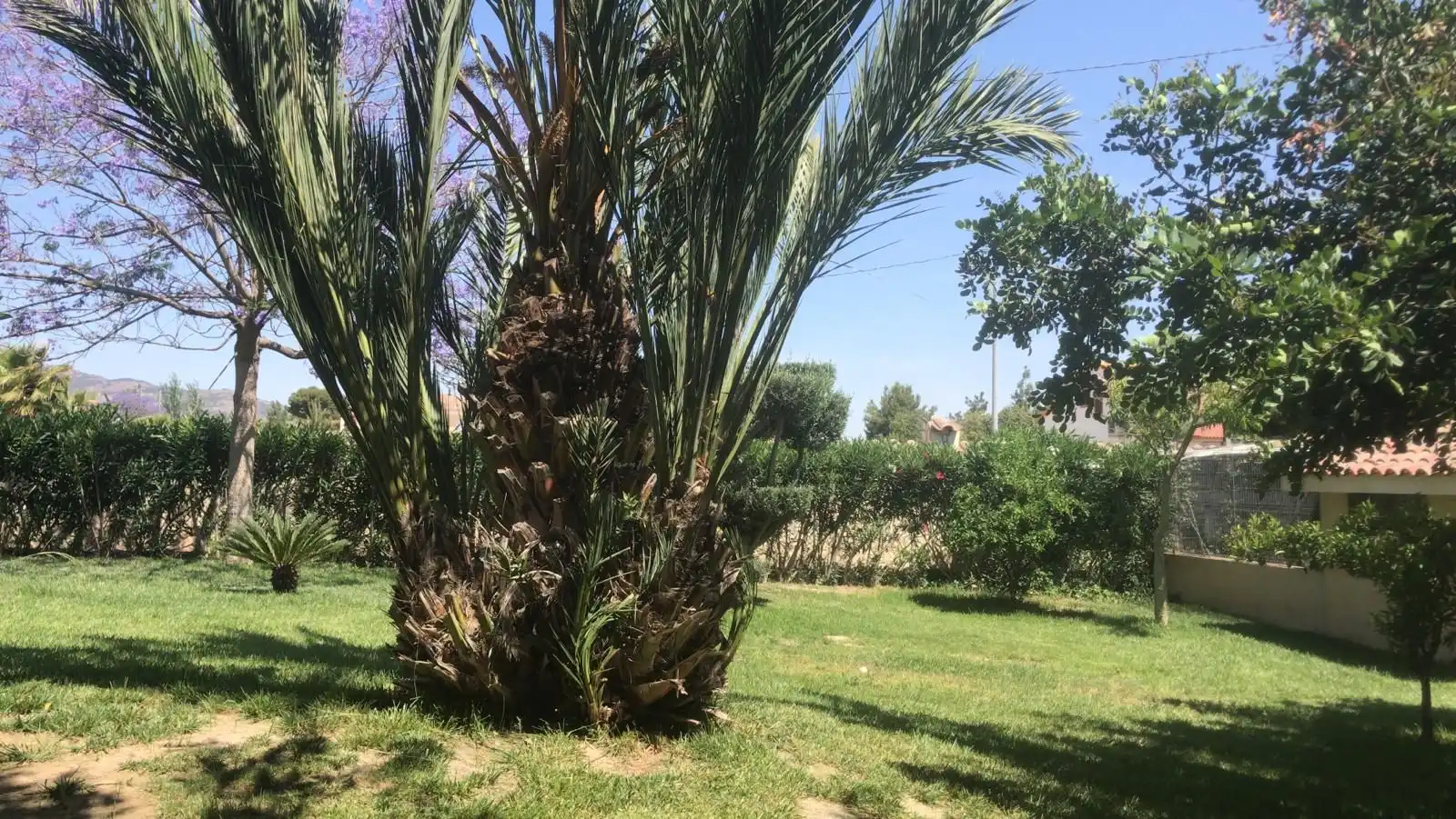 Xalet amb terrassa en venda a Pedanías Centro, imagen 5