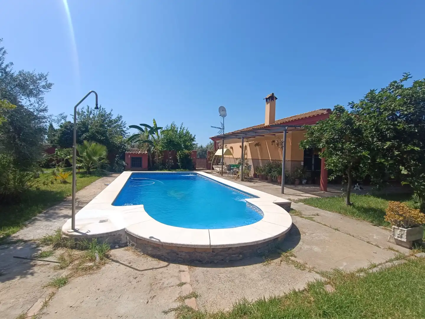 Piscina de Casa o chalet en venta en Pilas con Jardín privado y Piscina