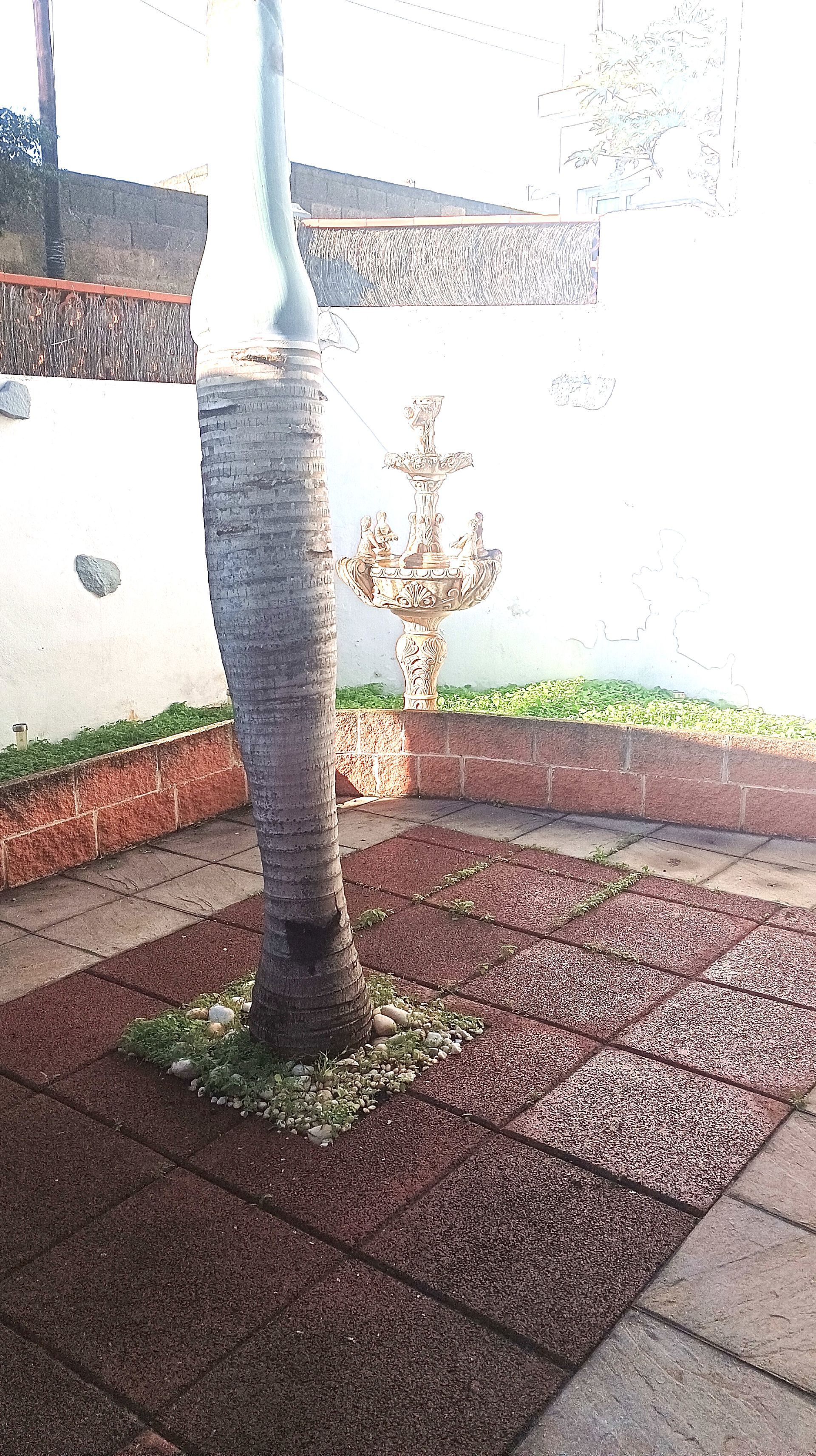 Garden of House or chalet for sale in  Santa Cruz de Tenerife Capital  with Terrace