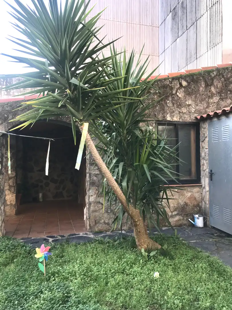 Vista exterior de Casa adosada en venta en Plasencia con Aire acondicionado, Calefacción y Jardín privado