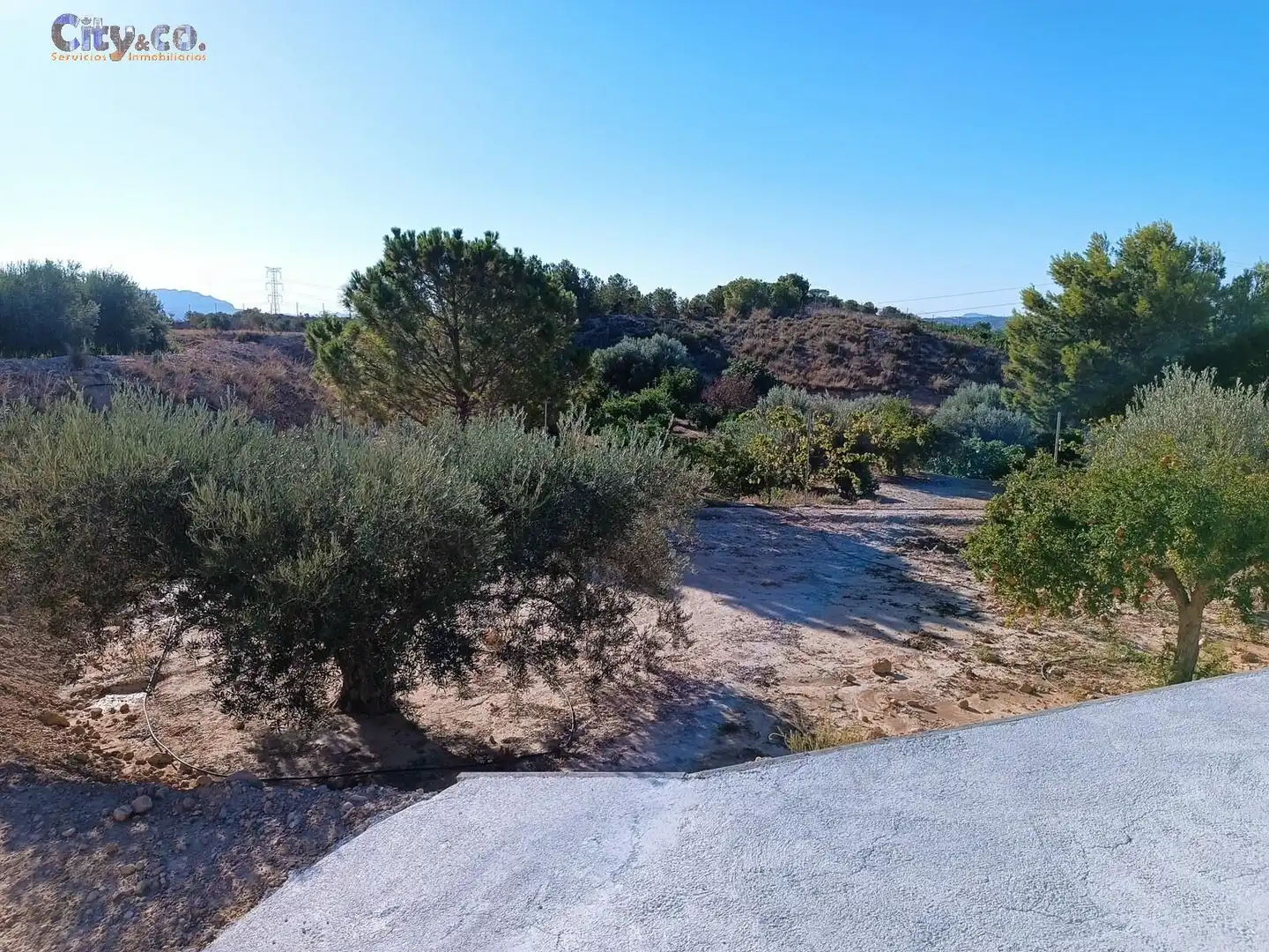 Terreny rústic en venda a Ribera de Molina - Torrealta, imagen 14