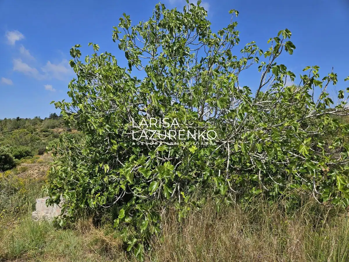 Casa rustica in vendita a N/A, imagen 39