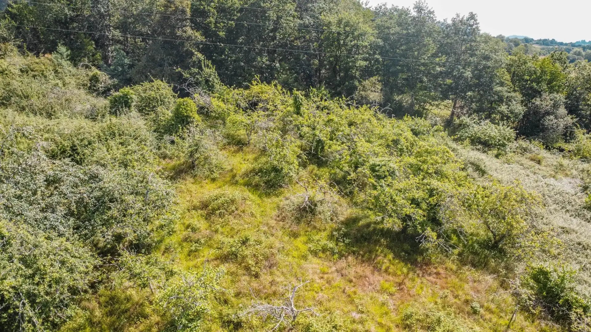 Rural land for sale in del pareo, imagen 34
