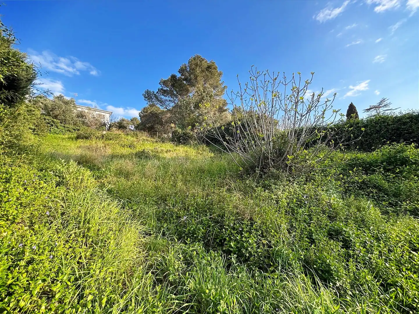 Terreno residencial en venta en Canyelles, imagen 4