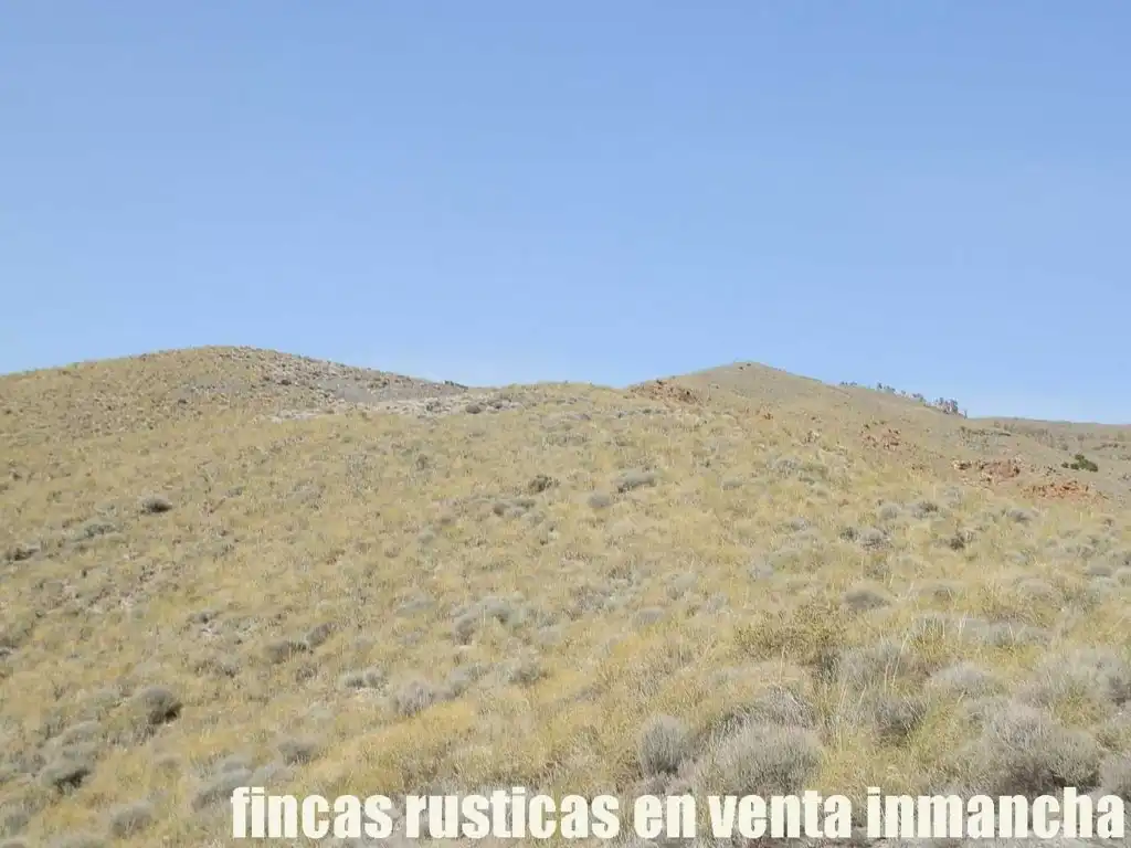Terreny rústic en venda a Pechina, imagen 7