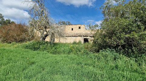 Photo 3 of Country homes for sale in Manacor Centre, Manacor