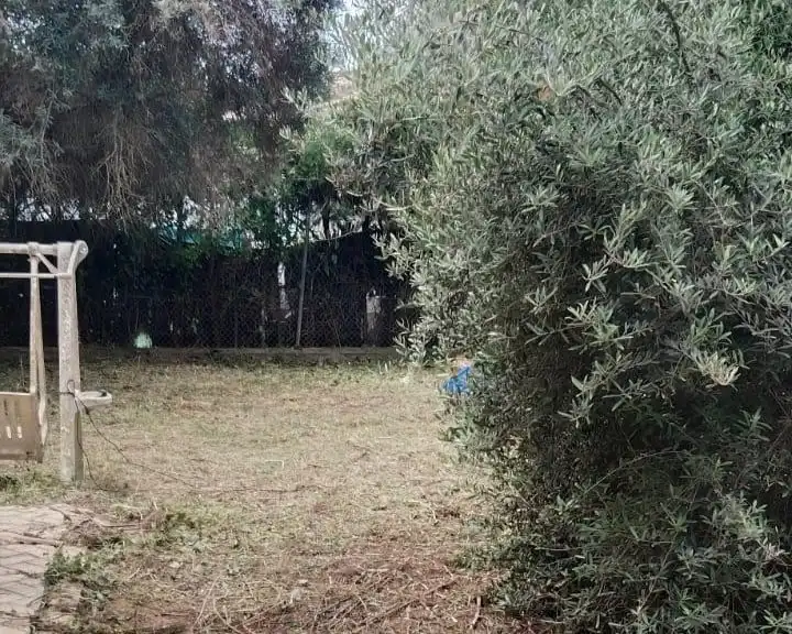 Xalet amb piscina en venda a Ur El Capricho, imagen 21