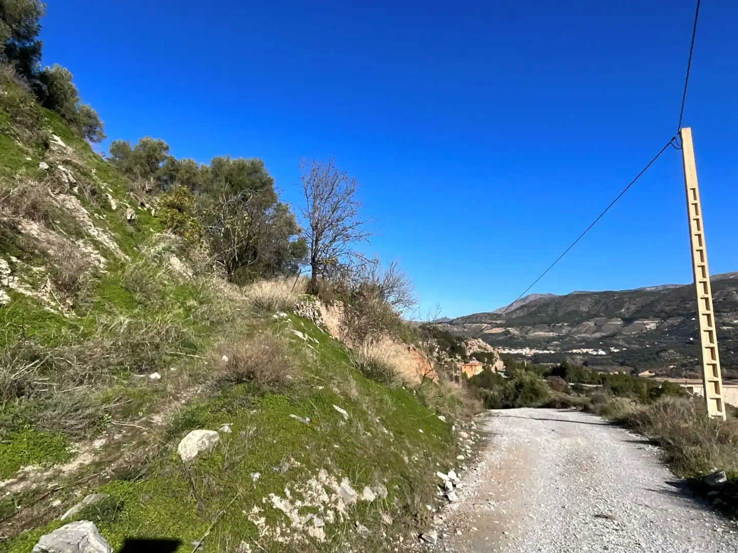 Terreni e lotti in vendita a Solera, imagen 26