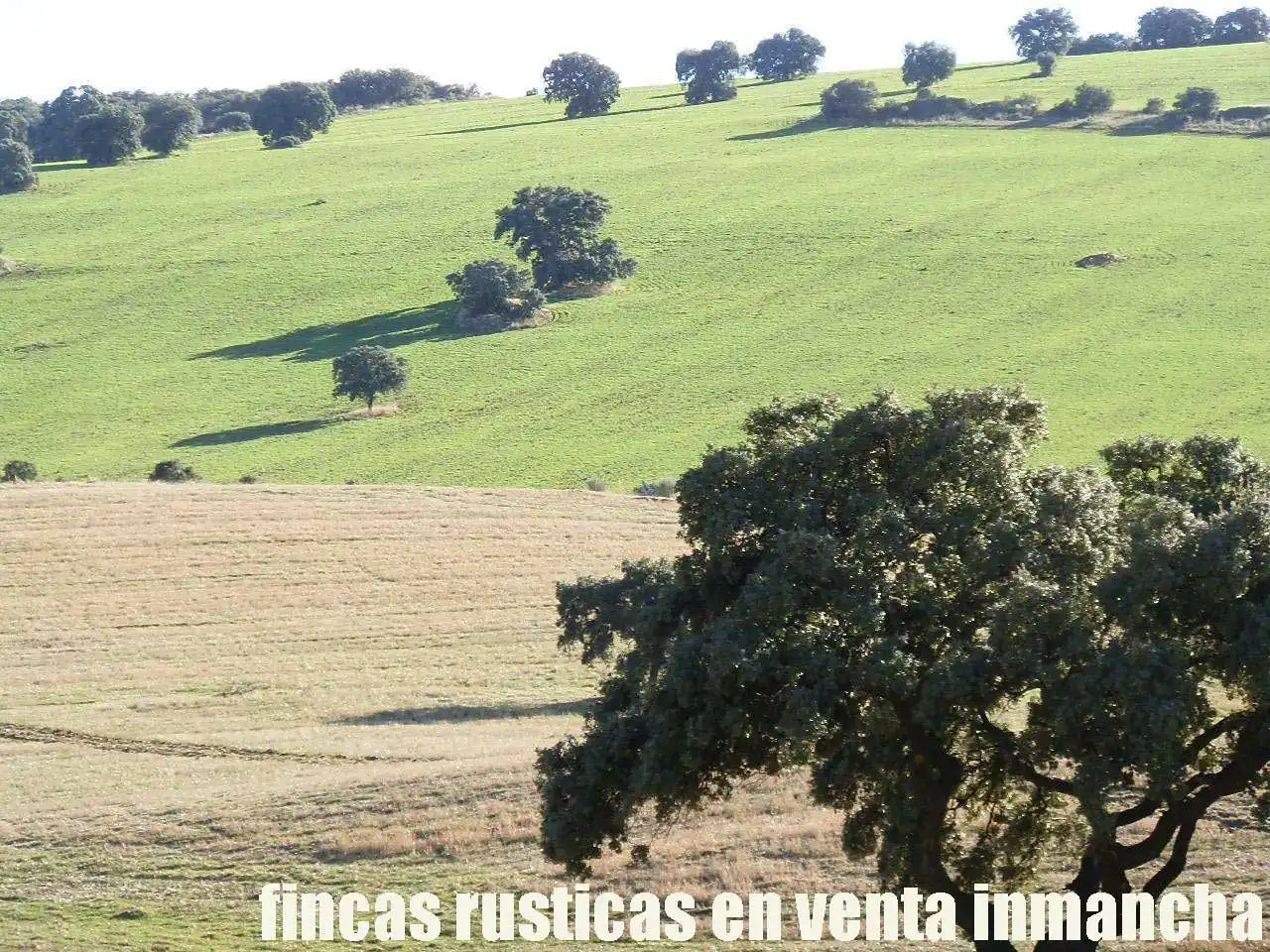 Terreny rústic en venda a Viso del Marqués, imagen 12