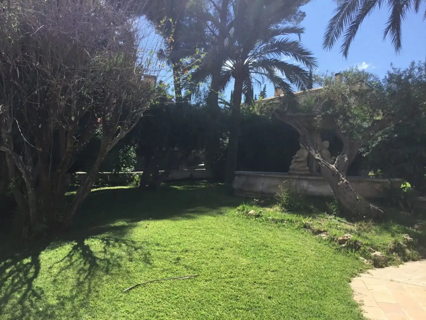 Jardín de Casa o chalet en venta en Murcia con Piscina y Amueblado