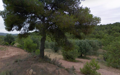 Land for sale in Estivella