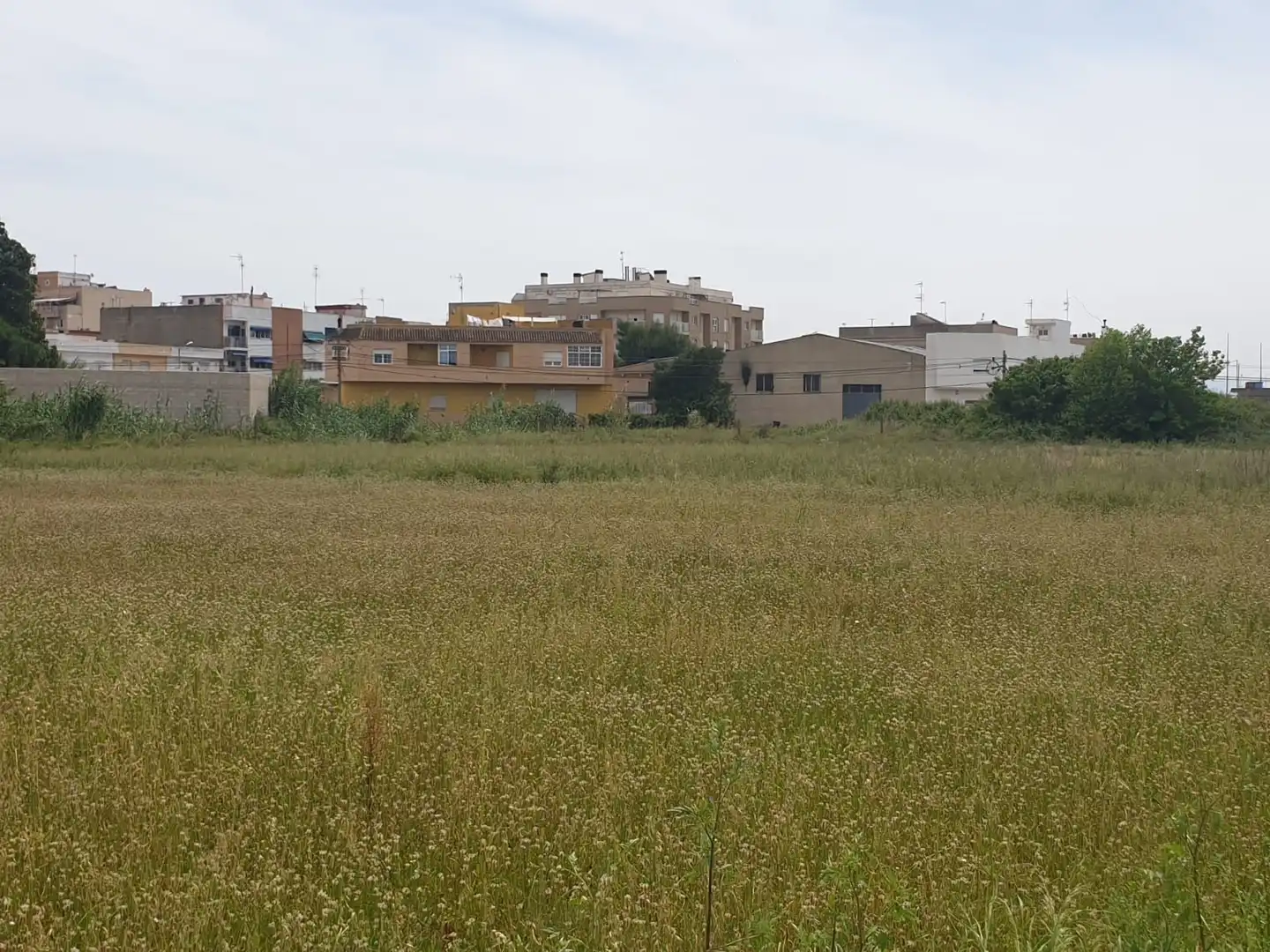 Terreno industrial en venta en de la Ribera Alta, imagen 9