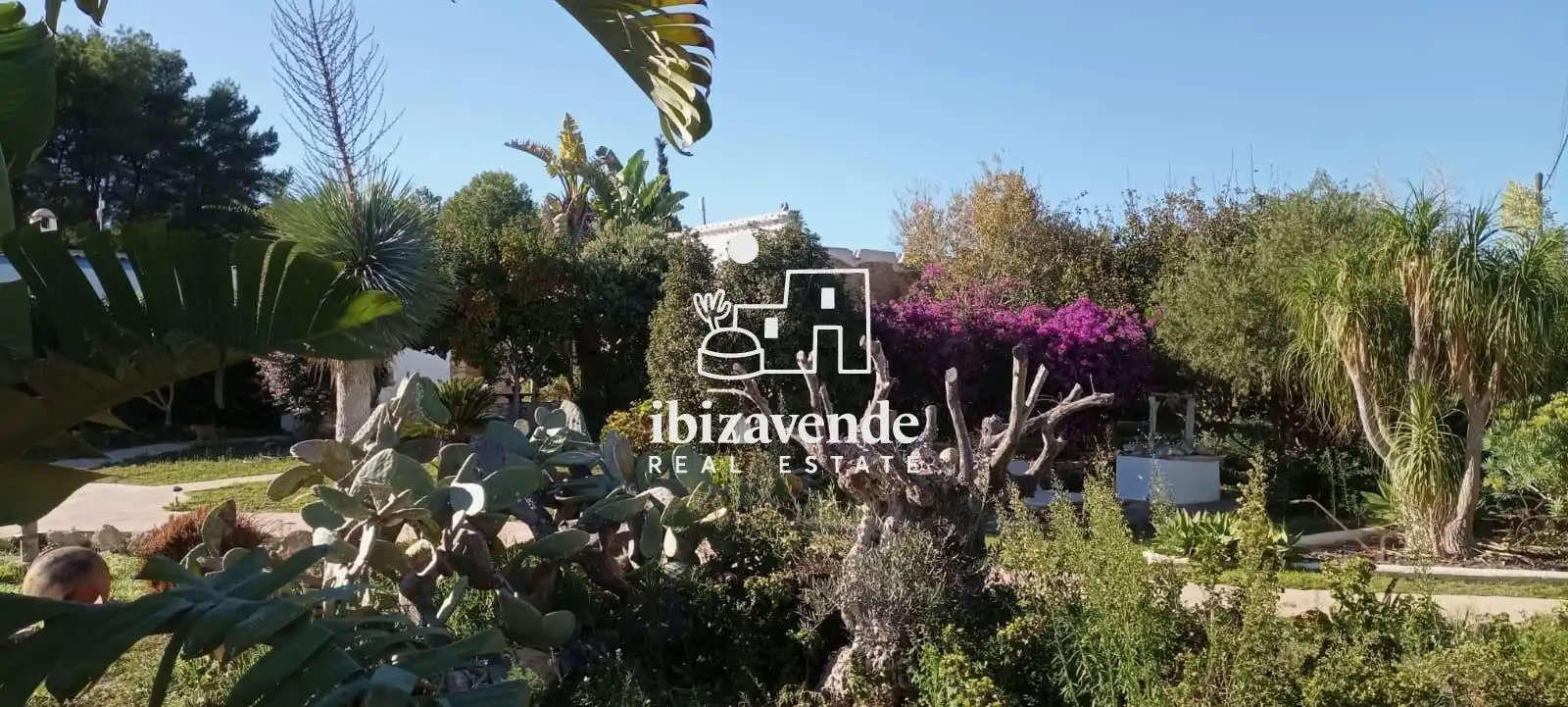 Villa mit Pool zum Verkauf in venda Labritja, imagen 12