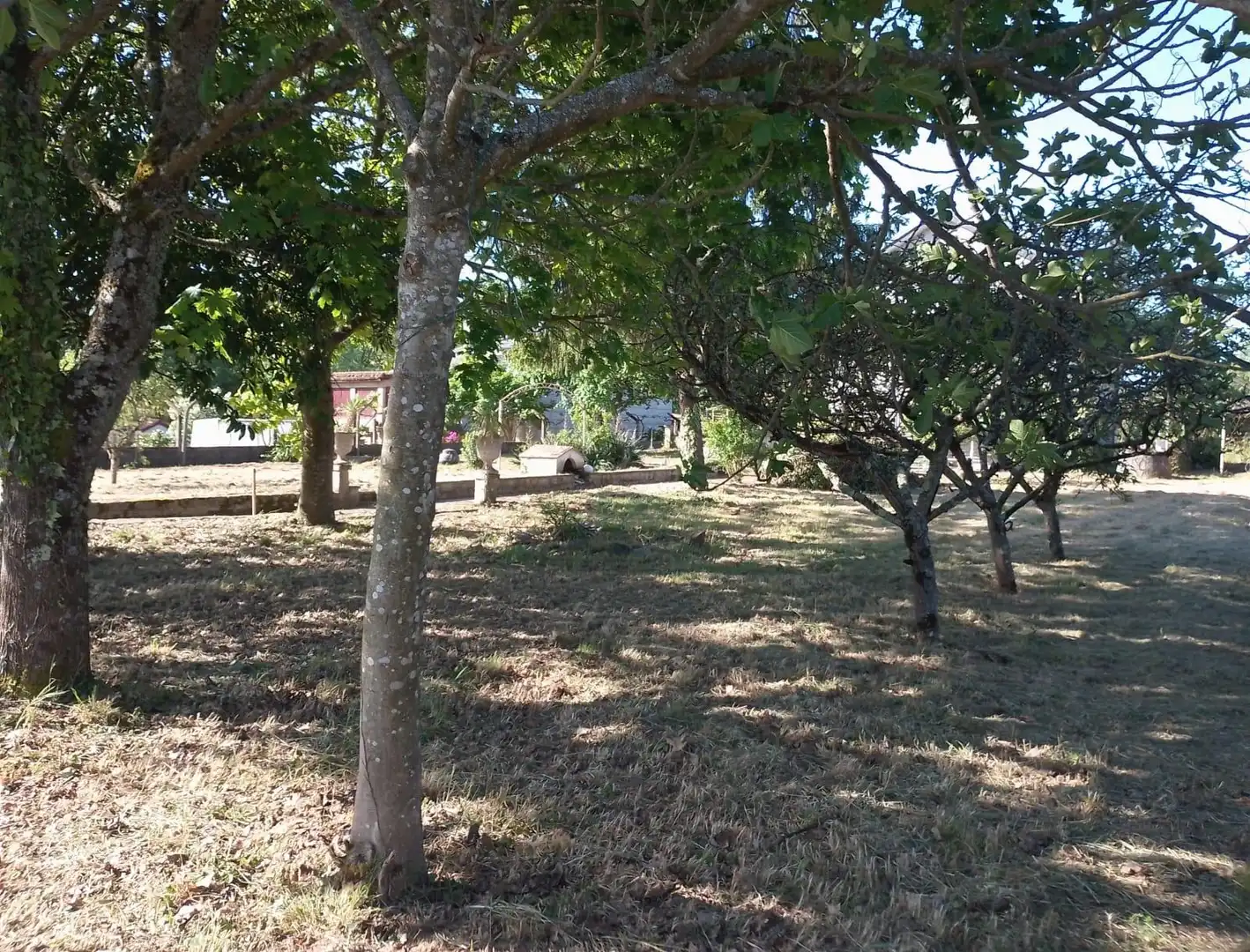 Villa con giardino in vendita a Barbadás, imagen 8