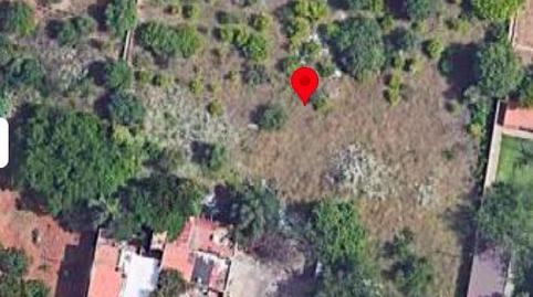 Foto 4 de Finca rústica en venda a Marrada, Estación - Universidad, Castellón