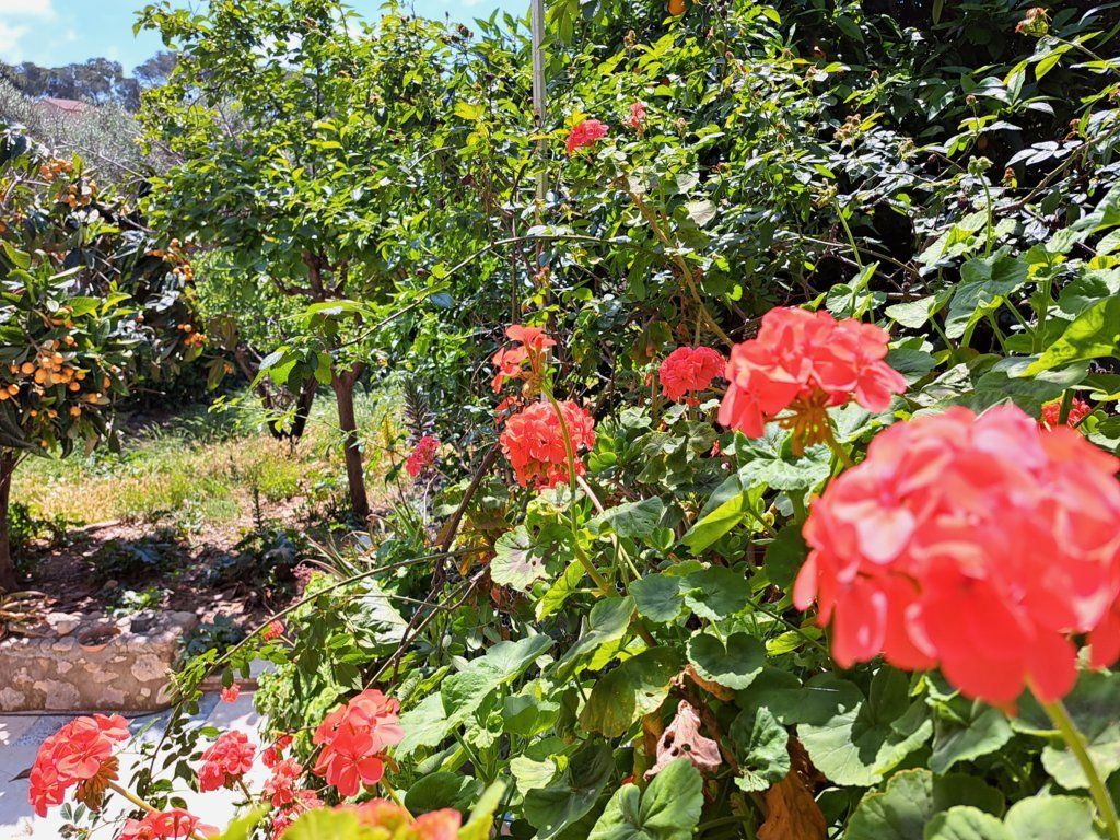 Garden of Single-family semi-detached for sale in Cunit  with Private garden, Terrace and Storage room