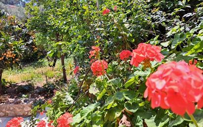 Garden of Single-family semi-detached for sale in Cunit  with Private garden, Terrace and Storage room