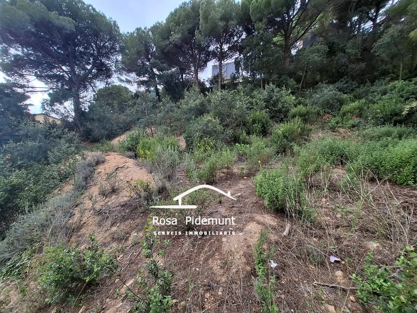 Terreno residencial en venta en Serra Brava, imagen 3