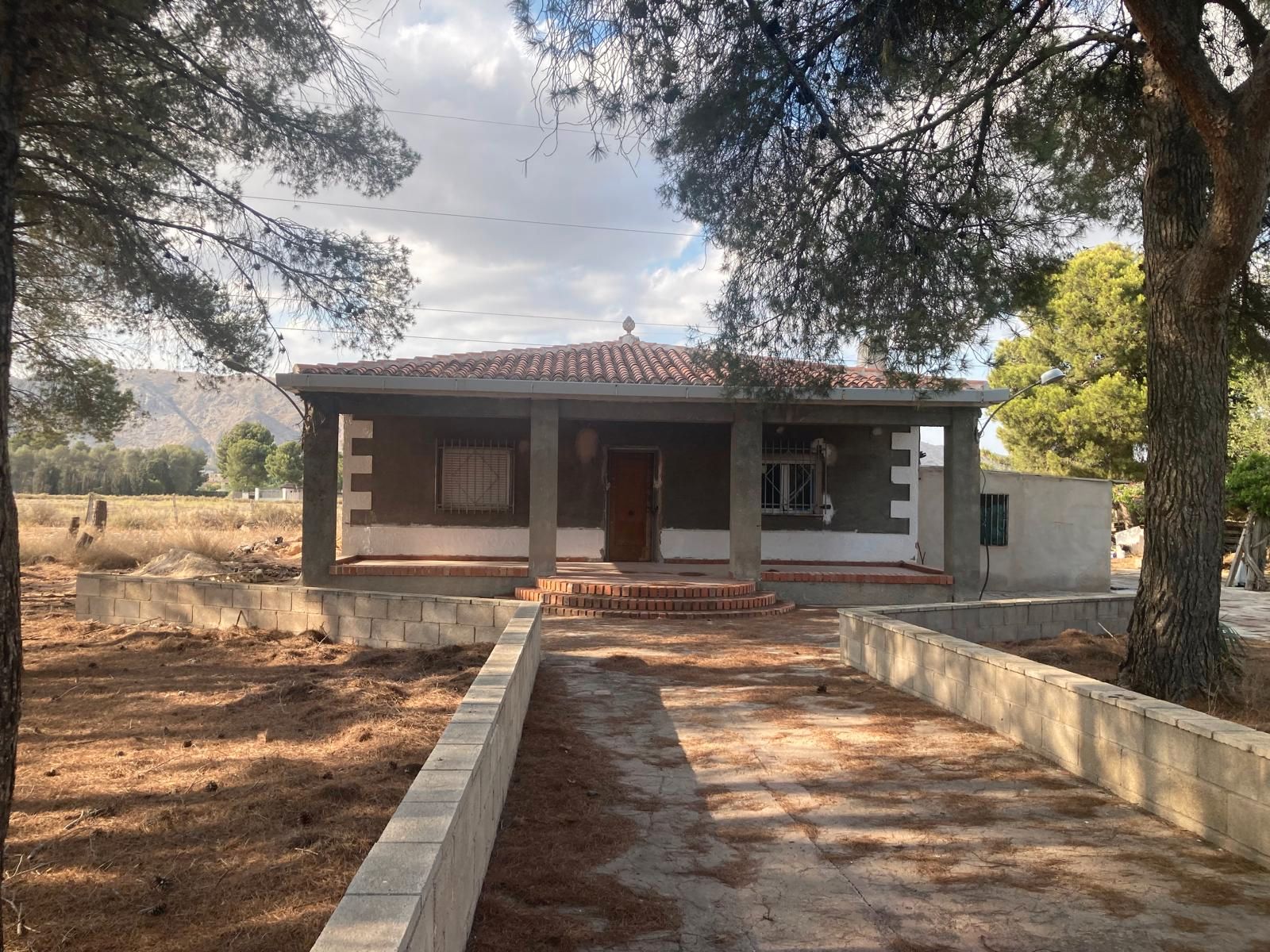 Exterior view of House or chalet for sale in Villena  with Private garden