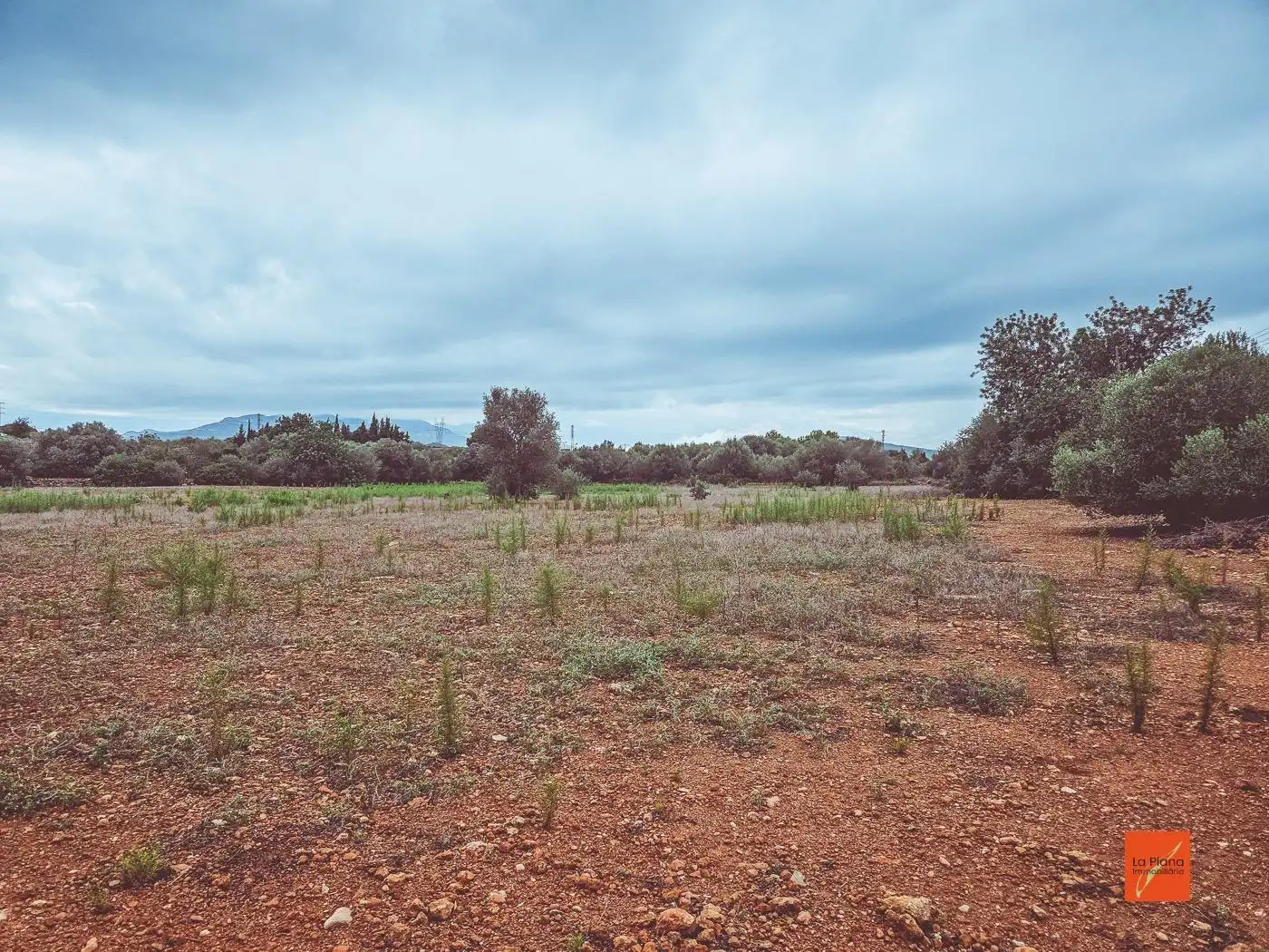 Terreno rustico in vendita a Santa Bàrbara, imagen 3