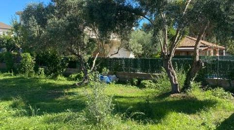 TERRENO A 10 DE PLAYA RODA DE BERÀ, immagine 3