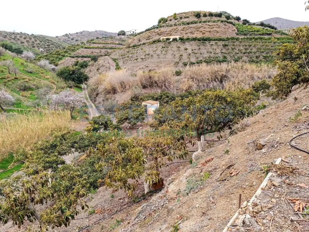 Finca rústica en venda en Vélez-Málaga amb Aire condicionat, Jardí privat i Traster