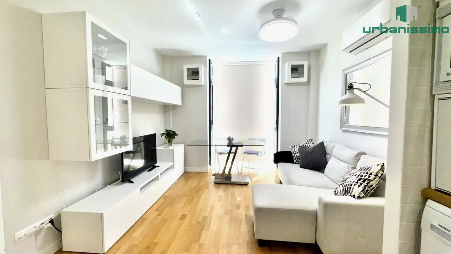 Sala d'estar de Apartament de lloguer en Madrid amb Aire condicionat, Traster i Moblat