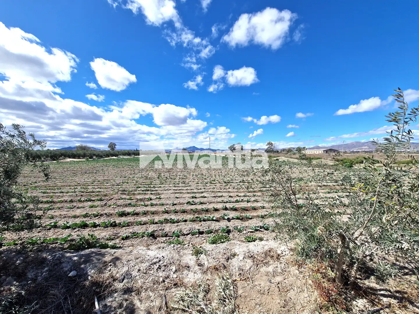 Xalet amb jardí en venda a Pedanías Centro, imagen 54