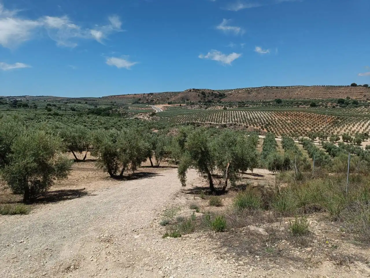 Country homes for sale in Moraleda de Zafayona  with Private garden, Swimming Pool and Furnished