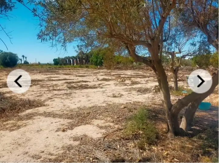 Rural land for sale in La Foia - Daimés - Asprella, imagen 4