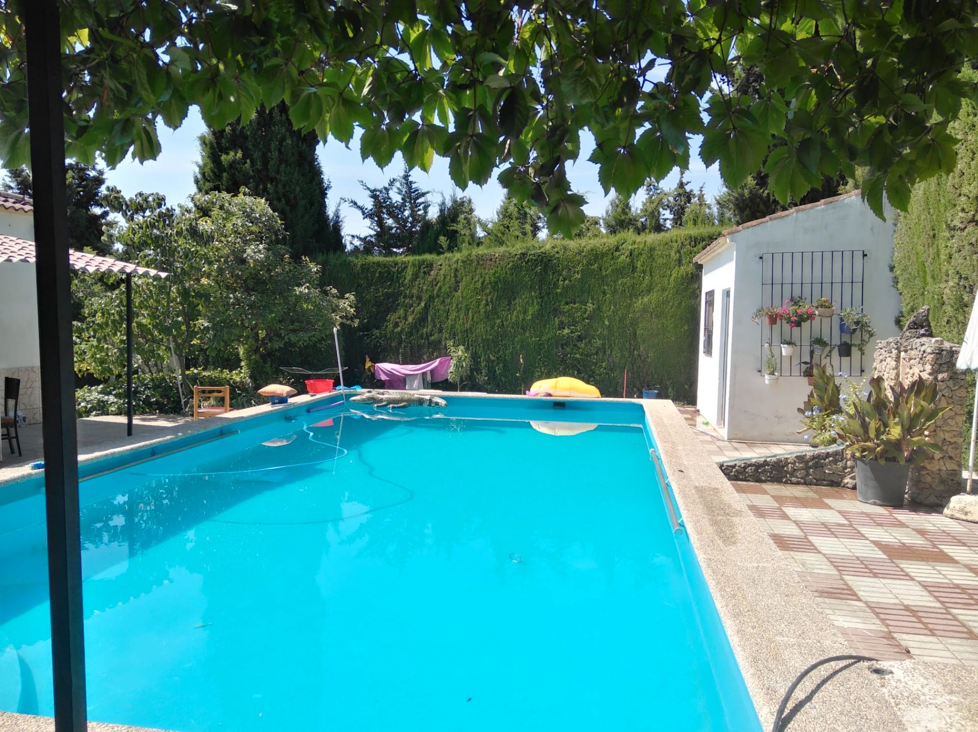 Swimming pool of House or chalet for sale in Úbeda  with Air Conditioner, Private garden and Terrace