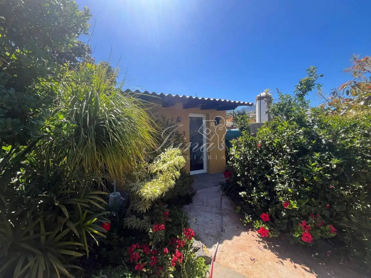 Jardín de Casa adosada en venta en El Paso con Jardín privado