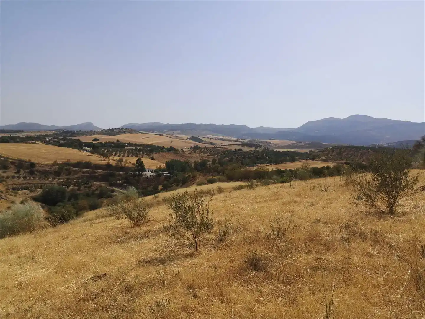 Finca rústica en venda en Ronda