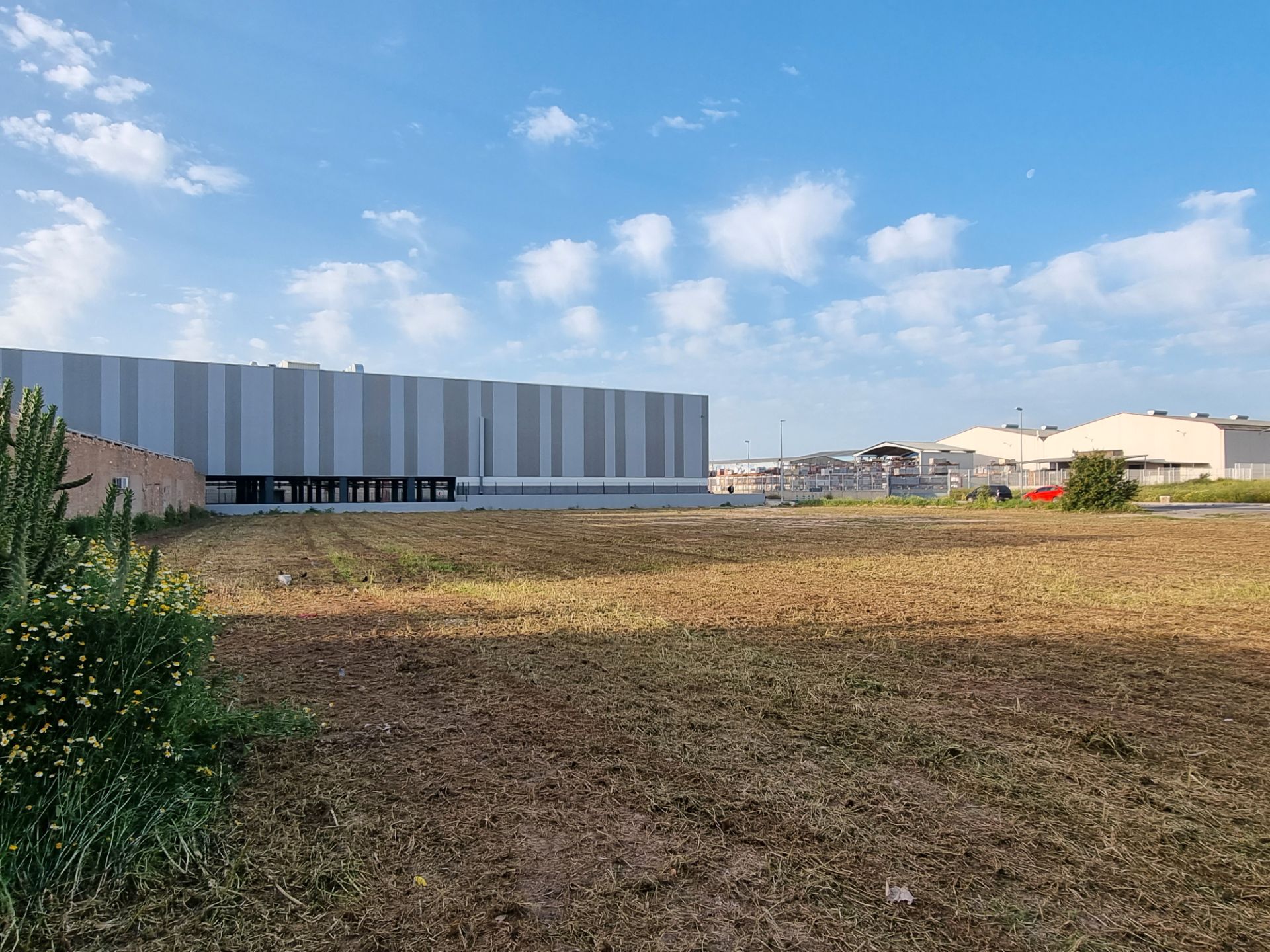 Exterior view of Industrial land for sale in Aspe