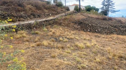 Foto 5 de Finca rústica en venda a Calle Empalme, 3a, Los Llanos de Aridane, Santa Cruz de Tenerife