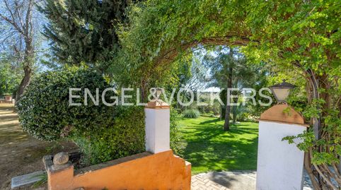 Foto 4 de Finca rústica en venta en Carmona, Sevilla