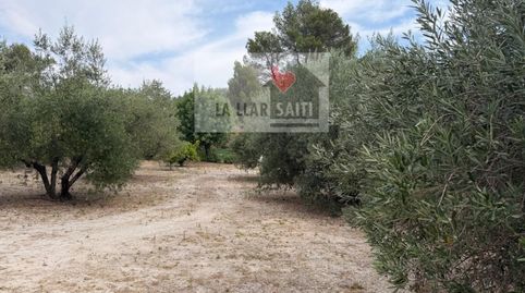 Foto 5 de Residencial en venda a Camino Portet, Xàtiva, Valencia