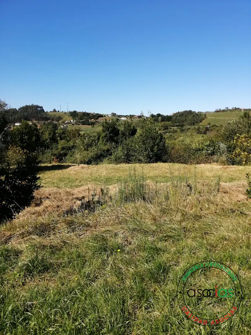 Terreno rustico in vendita a Lugar el Fonduxu, imagen 8