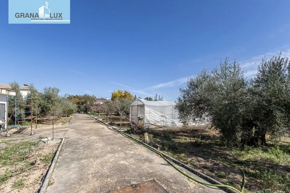 Chalet con piscina en venta en Calle Olmo, imagen 37