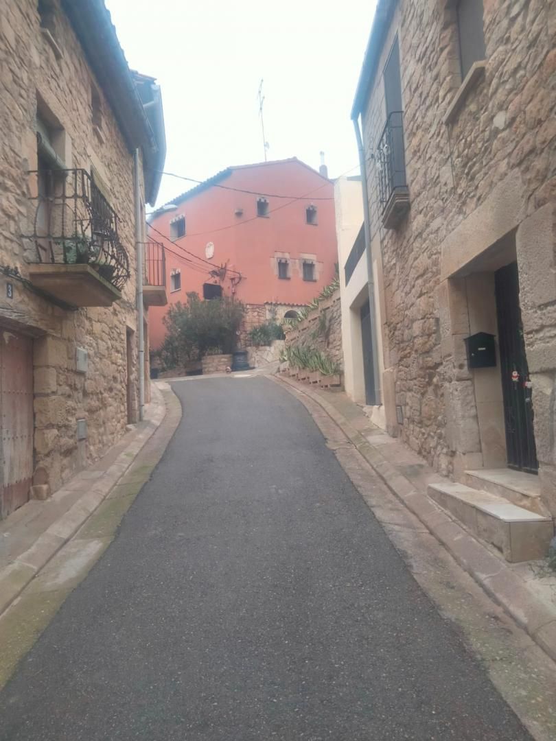 Exterior view of Flat for sale in Els Omellons  with Heating and Oven